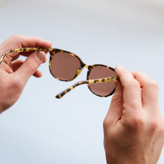 The Campania Editions L+B No.2 Sunglasses in Classic Tortoiseshell